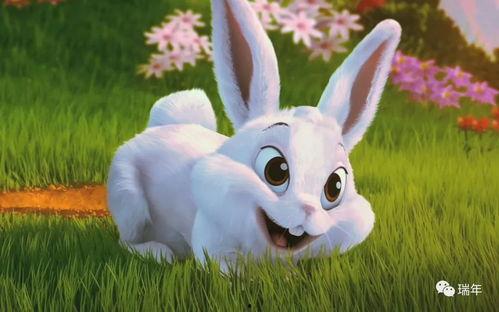 娱乐圈吃瓜第一线十尾兔,十尾兔带你探秘吃瓜第一线